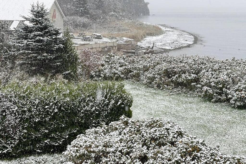 Finn'S Studio, Fundy Park Альма Экстерьер фото